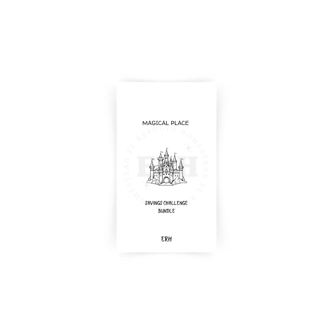 Budget Binder Bundle