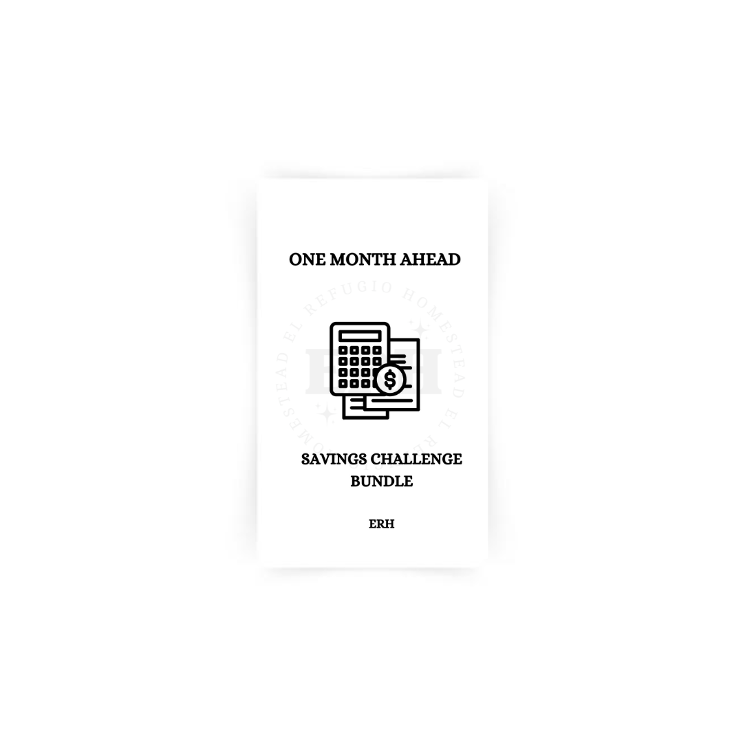 Budget Binder Bundle