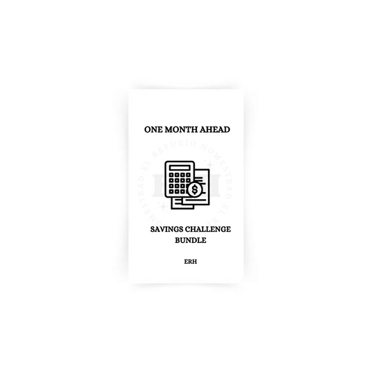 One Month Ahead Savings Challenge Trackers- A6 Personal